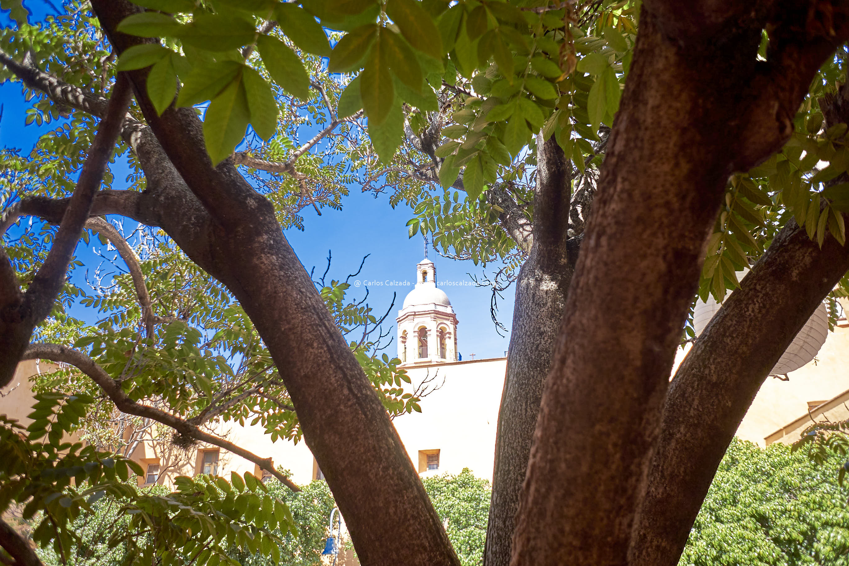 DSC06741_2022.jpg